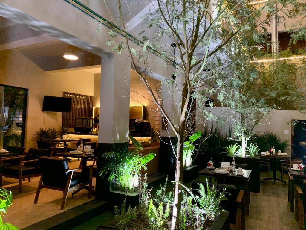 Frontera 49 Roma Norte Hotel Mexico
